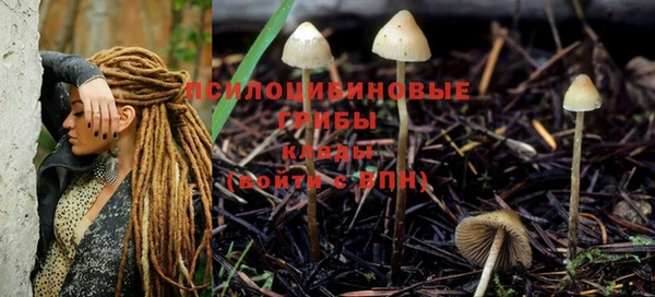 стафф Протвино