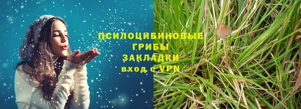 круглые Алексеевка