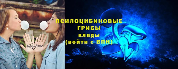 круглые Алексеевка