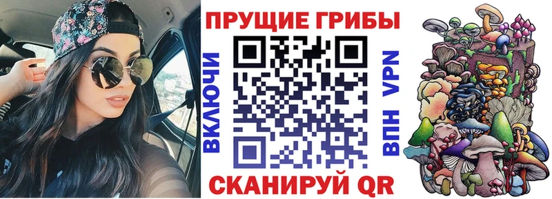 Псилоцибиновые грибы Cubensis  Канаш 